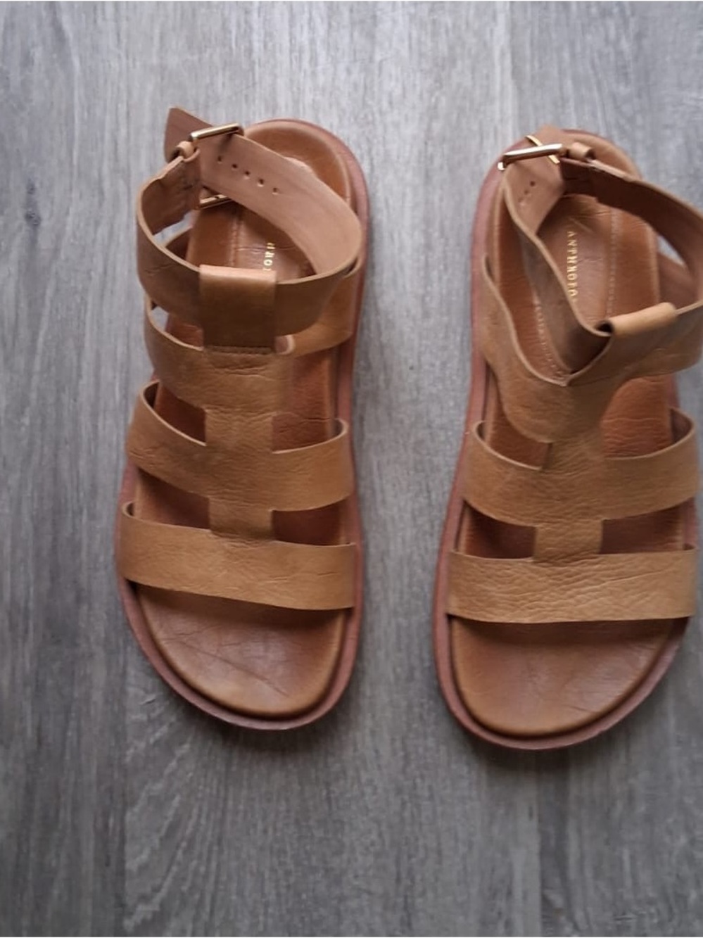 Anthropologie Brown Leather Strappy Gladiator Sandals
